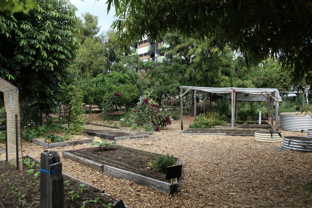 community garden