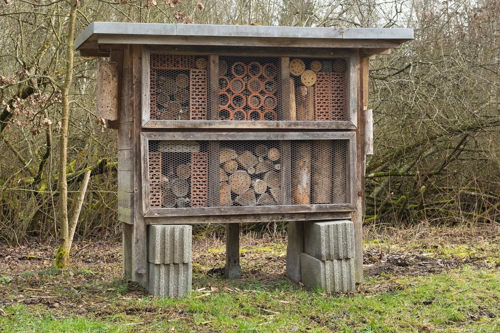 Jak zbudować domek dla owadów: praktyczny przewodnik krok po kroku