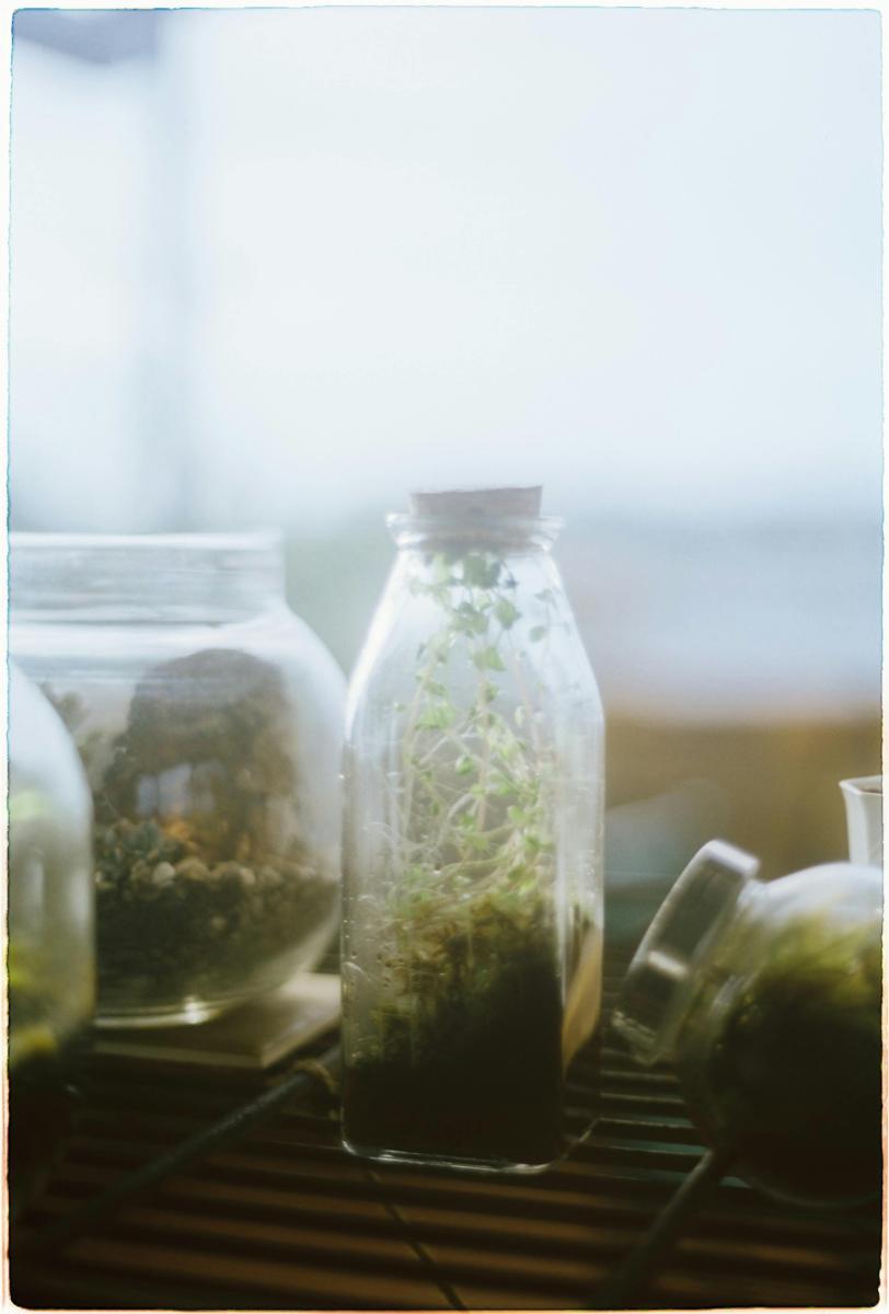 Jak zrobić las w słoiku: praktyczny przewodnik krok po kroku