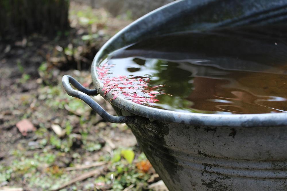 rainwater harvesting